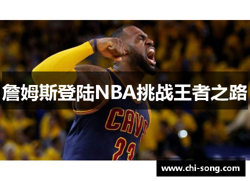詹姆斯登陆NBA挑战王者之路